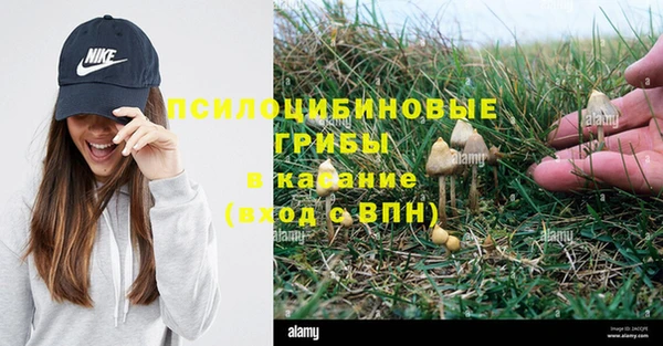 прущая мука Покачи