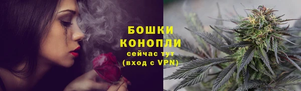 бошки Пестово