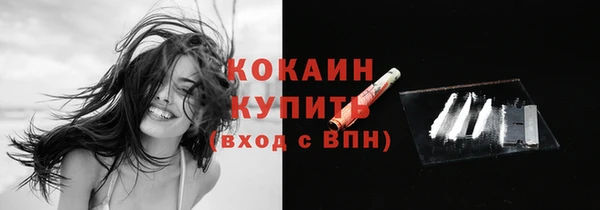 jwh Пересвет