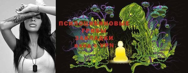 бошки Пестово