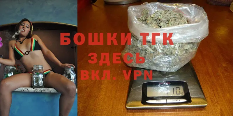 где купить наркотик  Бежецк  Бошки Шишки THC 21% 